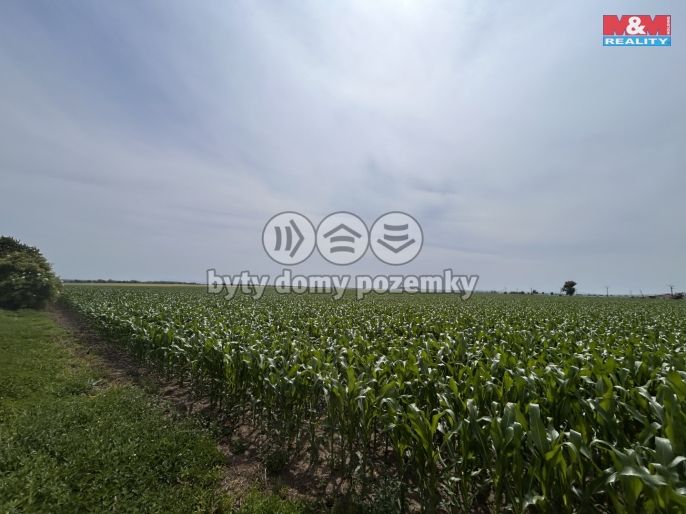 Prodej, Pole, Prostějov