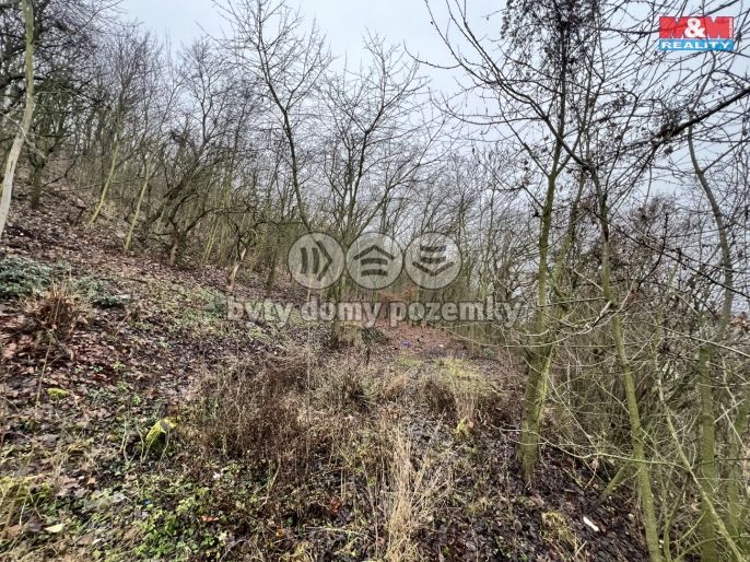 Prodej, Pozemek k bydlení, Bílina