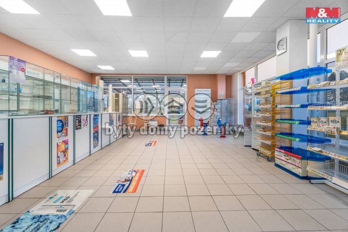 Pronájem, Ostatní, Ústí nad Labem