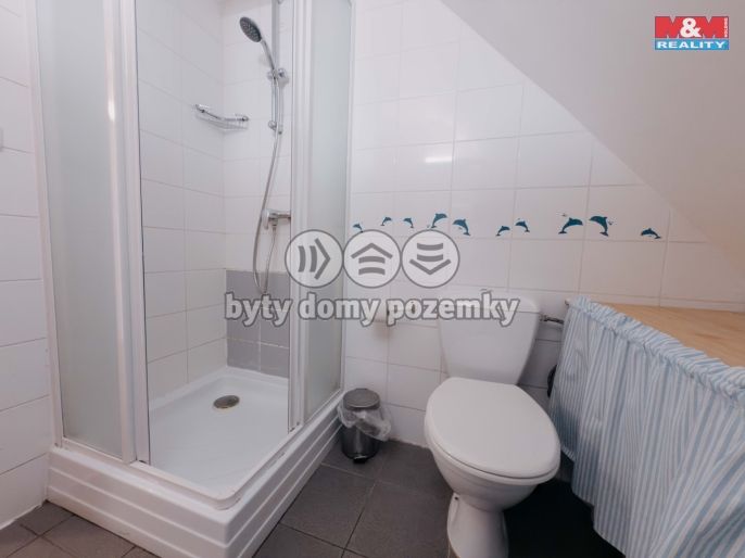 Prodej, Hotel, penzion, Kořenov