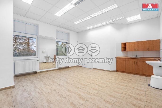 Pronájem, Obchod a služby, Ústí nad Labem