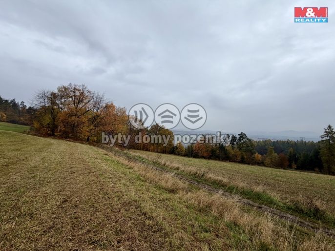 Prodej, Les, Jestřebí