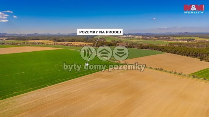 Prodej, Pole, Čistá