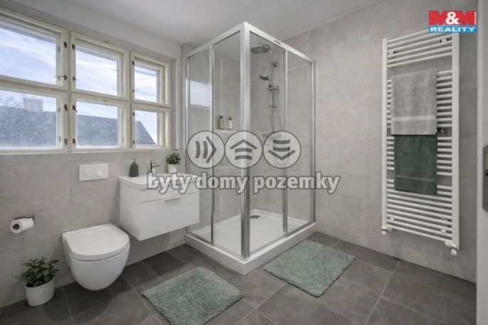 Prodej, Rodinný dům, Břasy