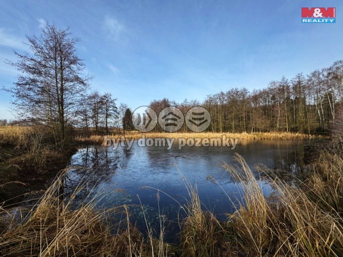 Prodej, Vodní plocha, Velká Losenice