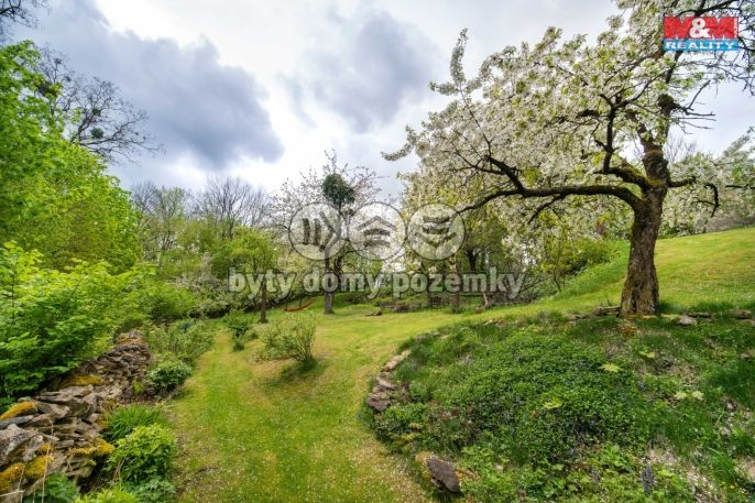 Pronájem, Zemědělská usedlost, Čistá