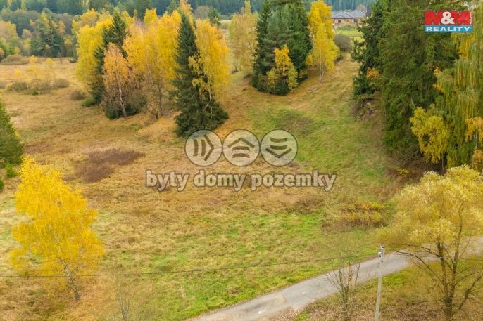 Prodej, Ostatní, Pila