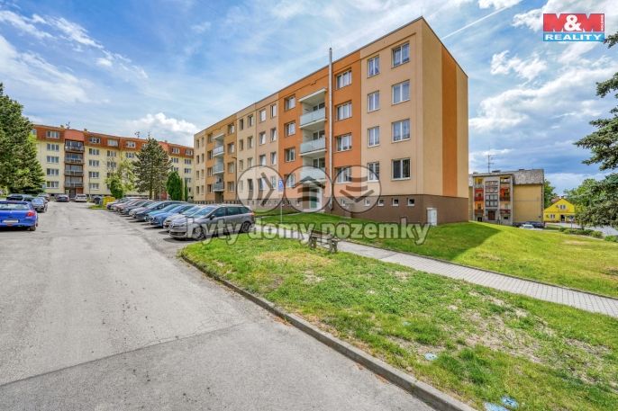 Pronájem, Byt 1+1, Žihle