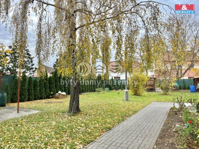 Prodej, Byt 3+1, Dobroměřice