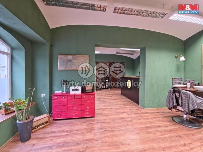 Pronájem, Obchod a služby, Teplice