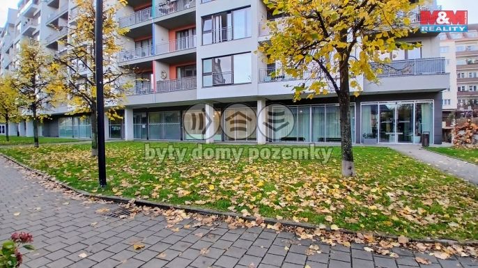 Pronájem, Kancelářský prostor, Praha