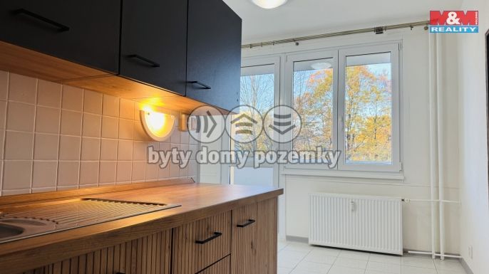 Pronájem, Byt 3+1, České Budějovice