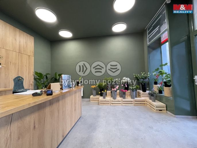 Prodej, Rodinný dům, Louny