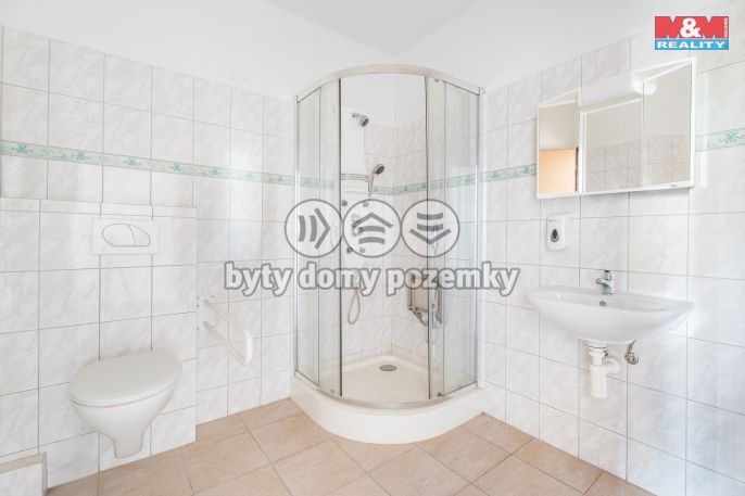 Prodej, Byt 3+kk, Mladé Buky