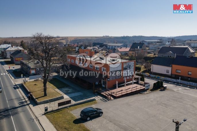 Prodej, Hotel, penzion, Velké Heraltice