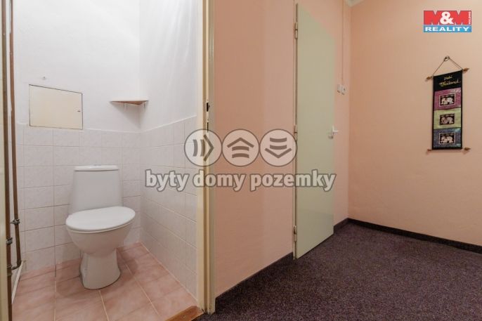 Prodej, Byt 2+1, Ostrov