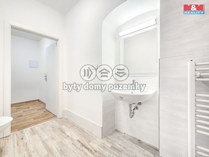 Pronájem, Byt 1+1, Studeněves