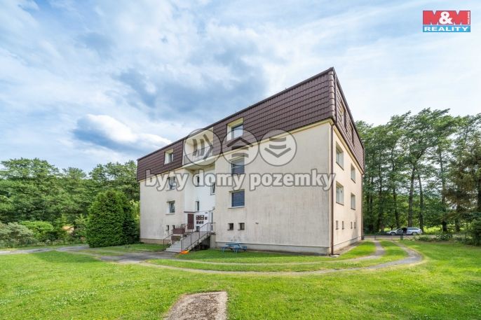 Pronájem, Byt 1+1, Praskolesy