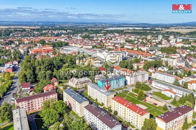 Prodej, Byt 2+1, Cheb