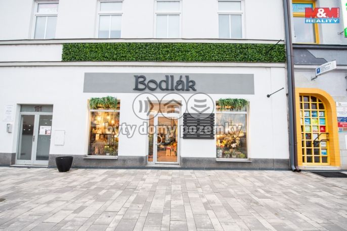 Pronájem, Obchod a služby, Pardubice