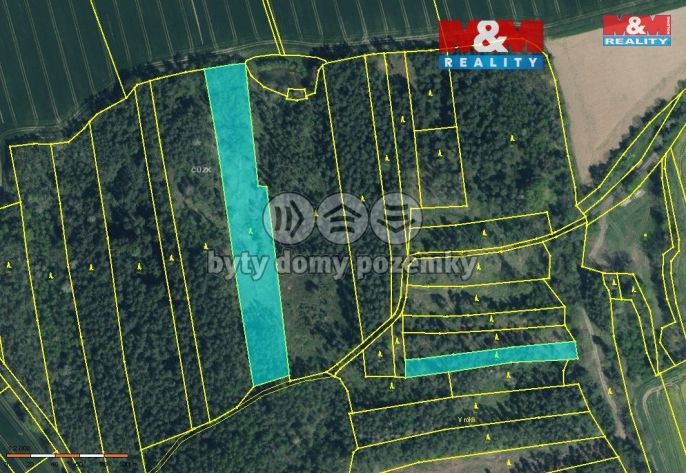 Prodej, Les, Hlohovčice