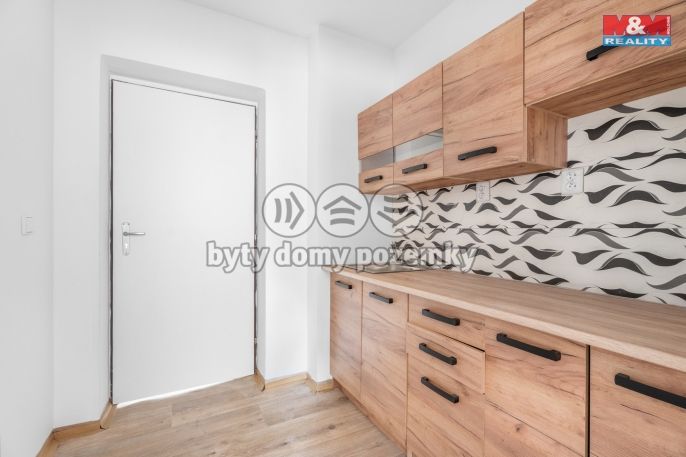 Prodej, Byt 1+kk, Mladé Buky