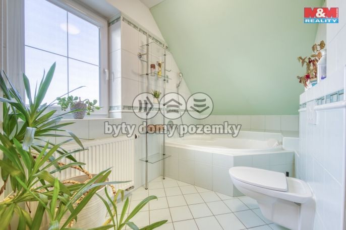 Pronájem, Obchod a služby, Plzeň