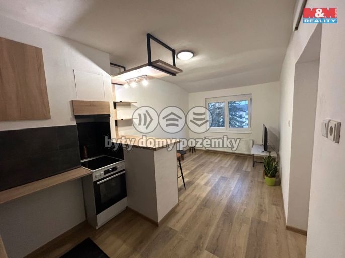 Pronájem, Byt 1+kk, Milevsko