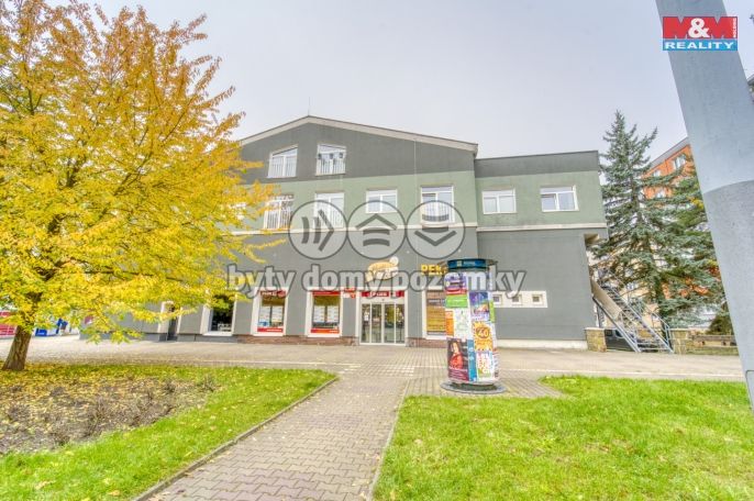 Pronájem, Byt 1+kk, Plzeň