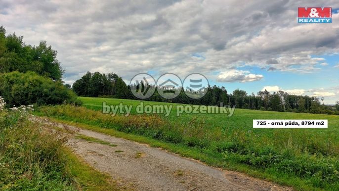 Prodej, Les, Štoky