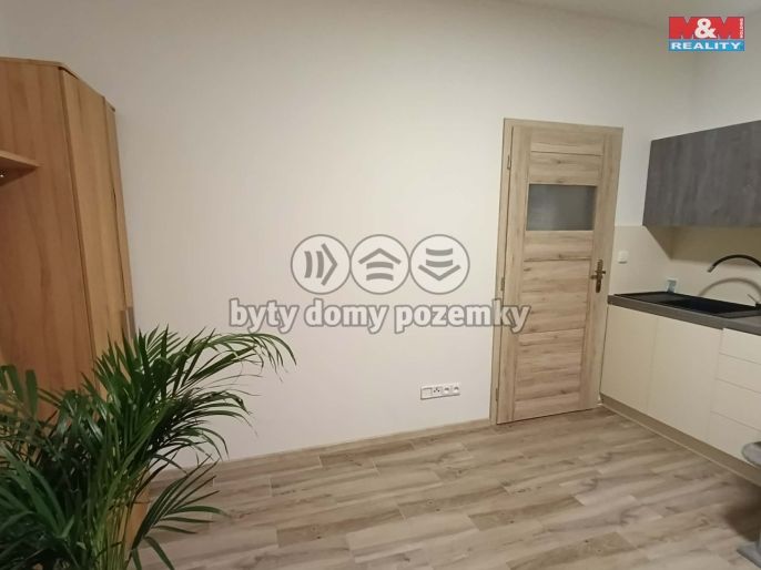 Pronájem, Byt 1+kk, Suchdol nad Lužnicí