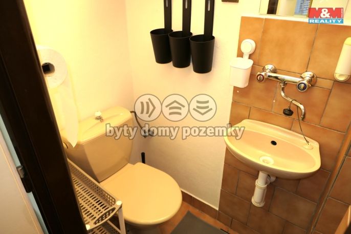 Pronájem, Byt 1+kk, Loděnice