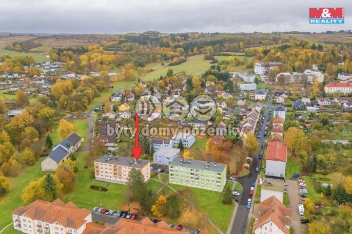 Pronájem, Byt 2+1, Planá