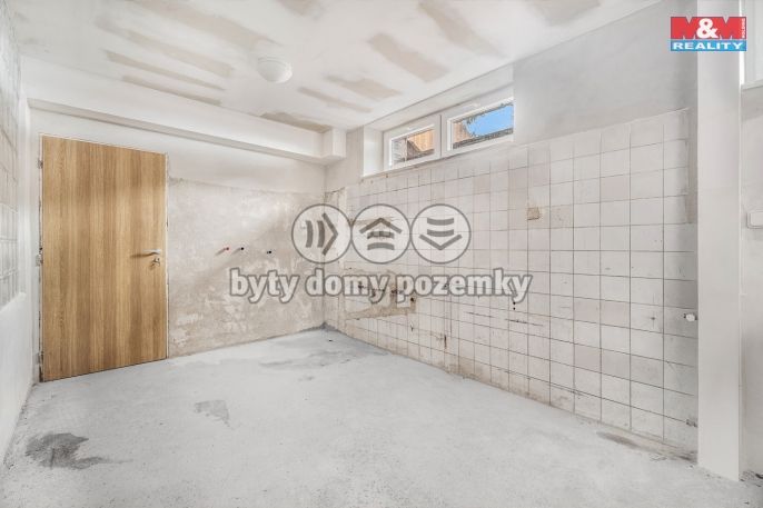 Prodej, Hotel, penzion, Borušov