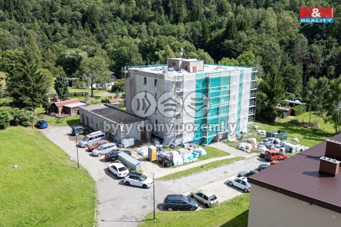 Prodej, Byt 2+1, Červená Voda