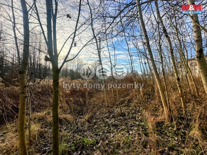 Prodej, Pozemek k bydlení, Petřvald