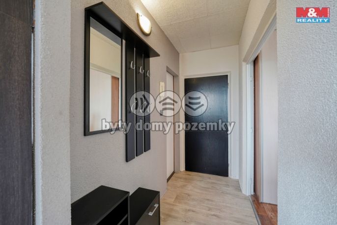 Pronájem, Byt 1+1, Žihle