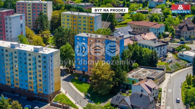 Prodej, Byt 3+1, Železný Brod