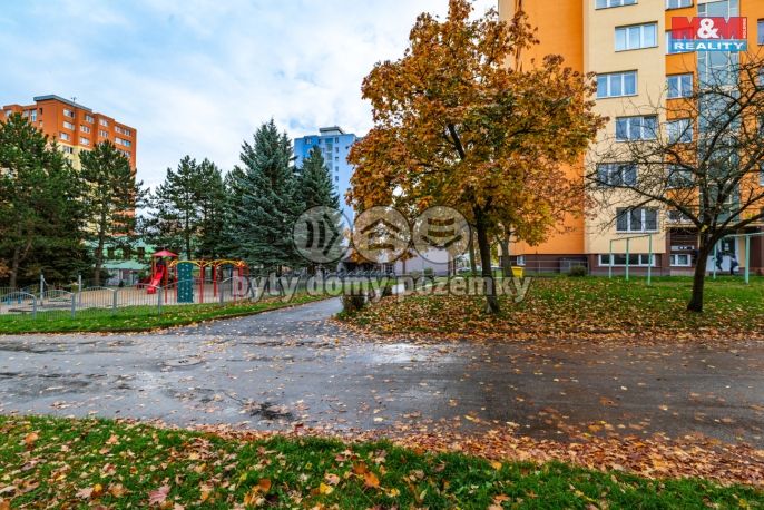 Prodej, Byt 2+1, Tachov