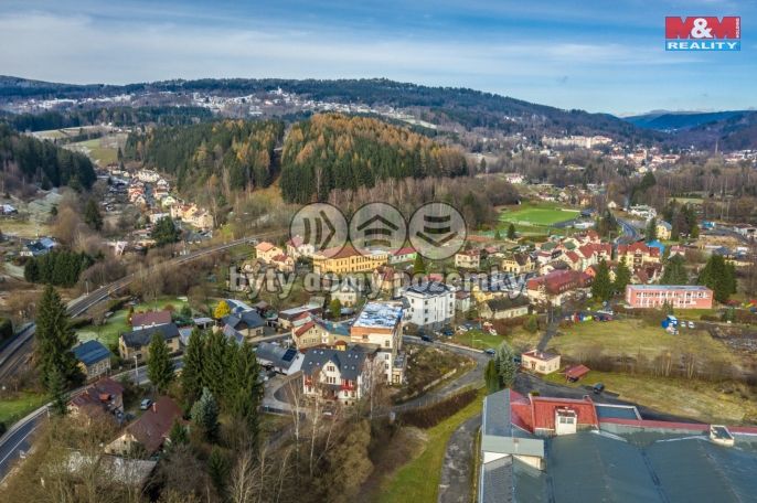 Prodej, Rodinný dům, Plavy