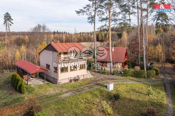 Prodej, Chata, Holotín