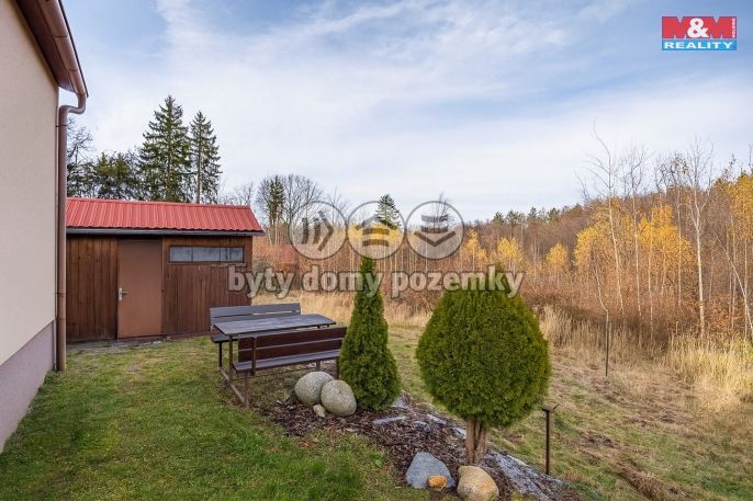 Prodej, Chata, Holotín