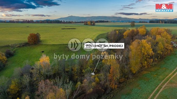 Prodej, Louka, Bílá