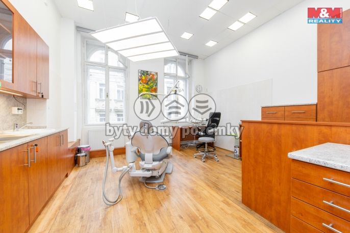 Pronájem, Ostatní, Brno