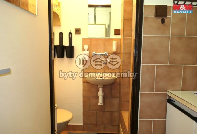 Pronájem, Byt 1+kk, Loděnice