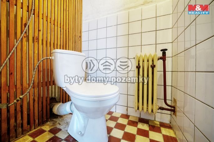 Prodej, Rodinný dům, Čistá