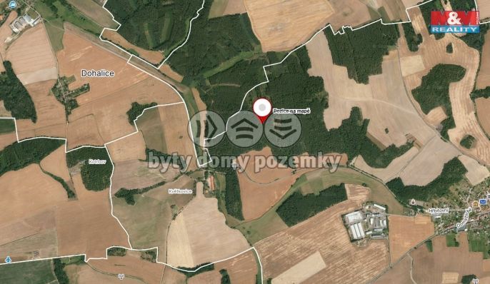 Prodej, Les, Koloveč