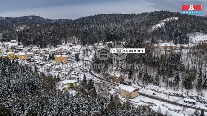 Prodej, Hotel, penzion, Janov nad Nisou