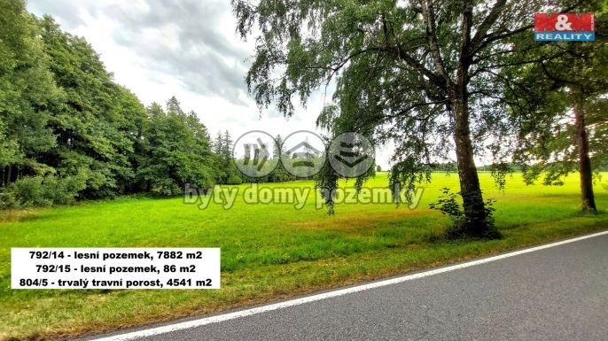 Prodej, Les, Štoky