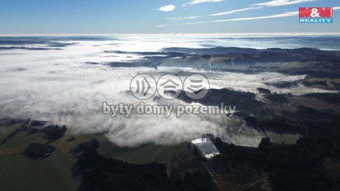 Prodej, Les, Bohdalov